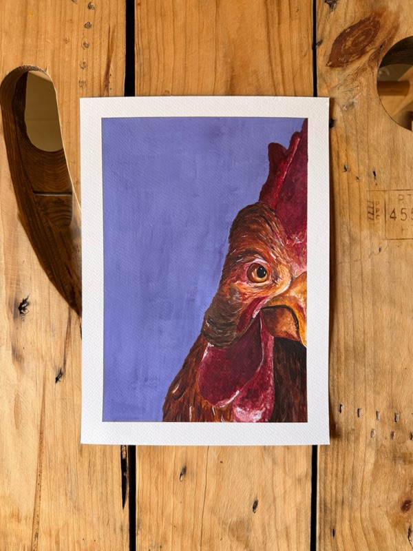 Gallina